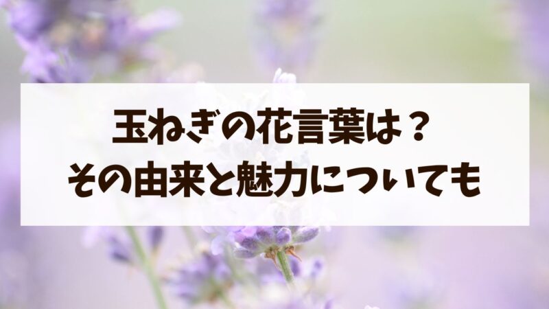 玉ねぎ　花言葉　由来